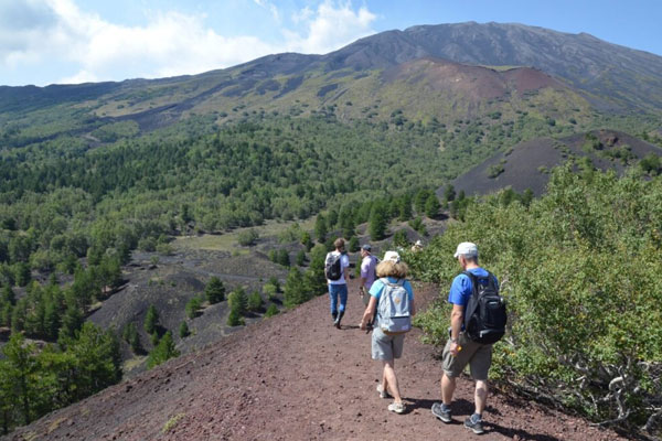 Etna Exursions: Etna Morning Tour